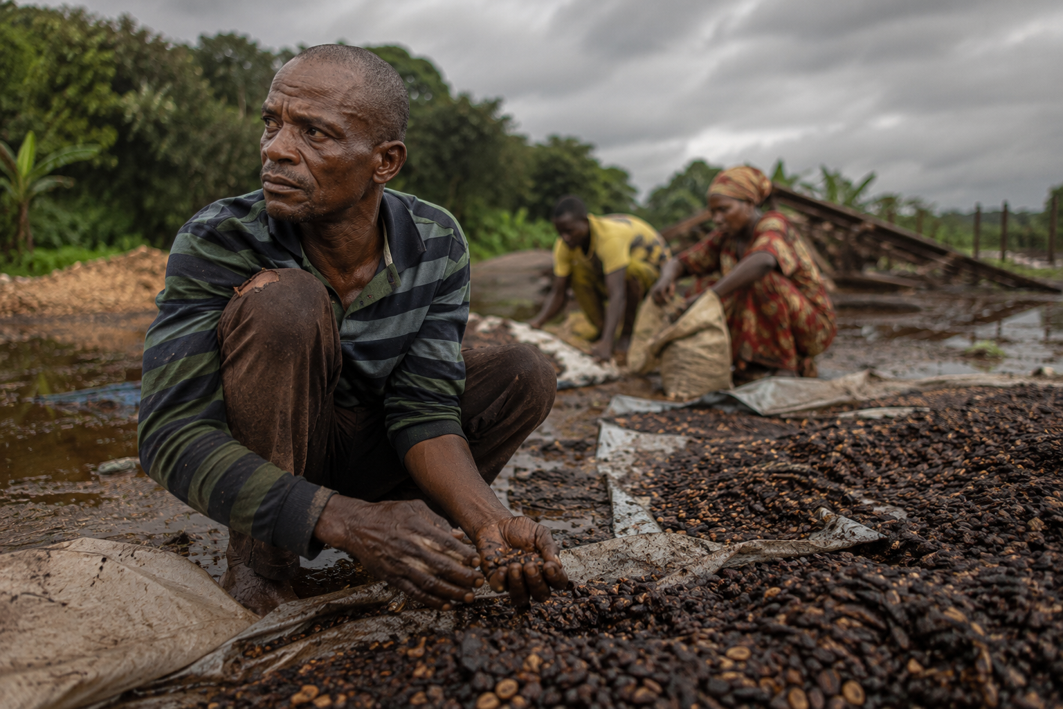 Coopérative agricole Afrique